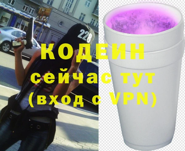 СК Няндома