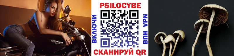 Псилоцибиновые грибы Cubensis Ижевск